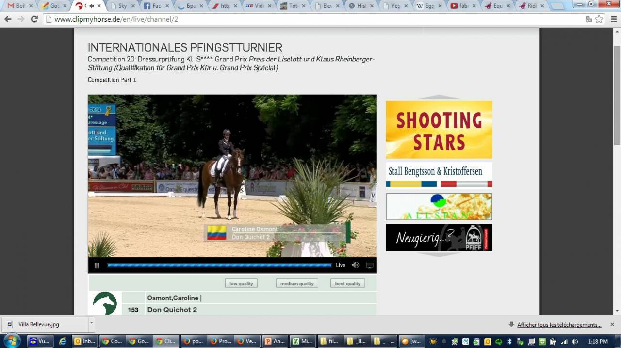 Don Quichot - BWP Belgian Warmblood 2000 by QUITE EASY