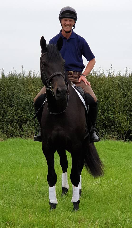 SOLD 2020 4yo Gelding- Serious competition prospect