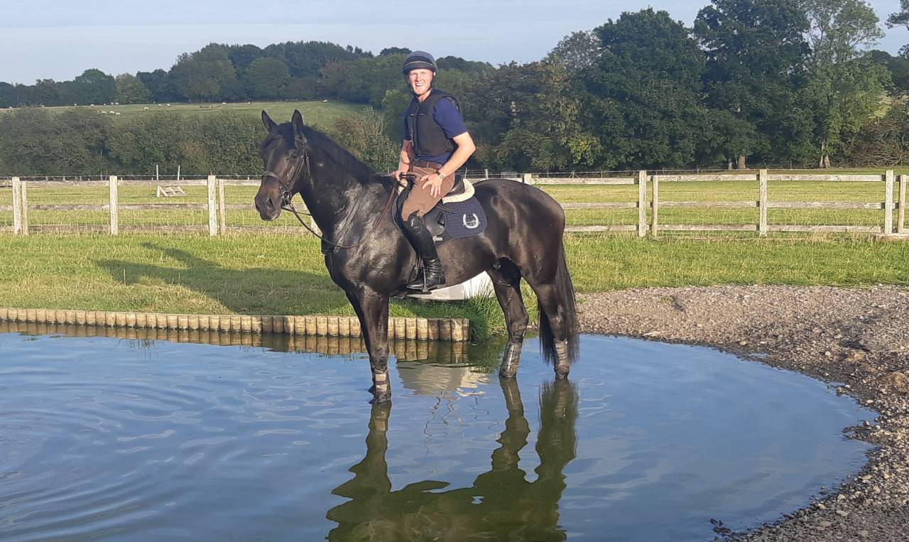 SOLD 2020 4yo Gelding- Serious competition prospect