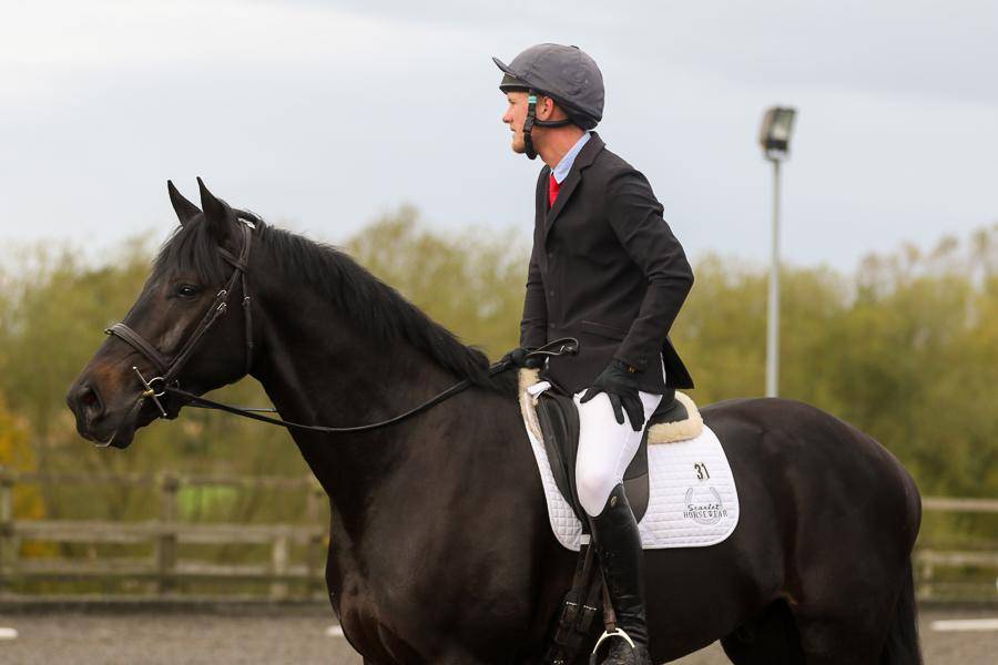 SOLD 2020 4yo Gelding- Serious competition prospect