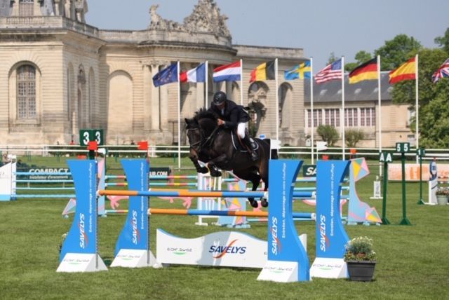 HEROE DE CAFENY - Selle Français 2017 by DIAMANT DE SEMILLY