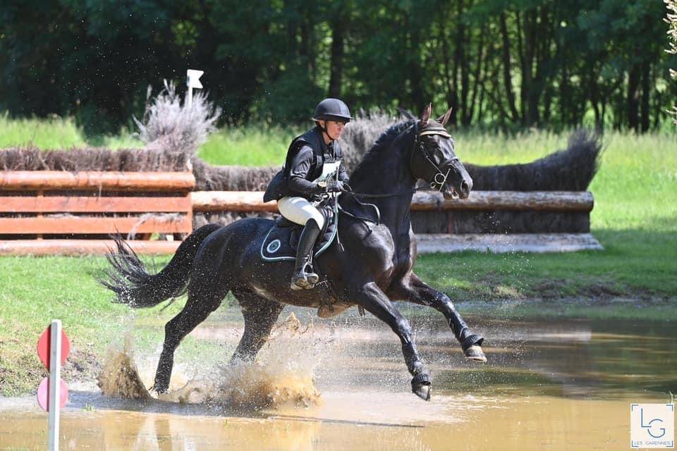 HEROE DE CAFENY - Selle Français 2017 by DIAMANT DE SEMILLY