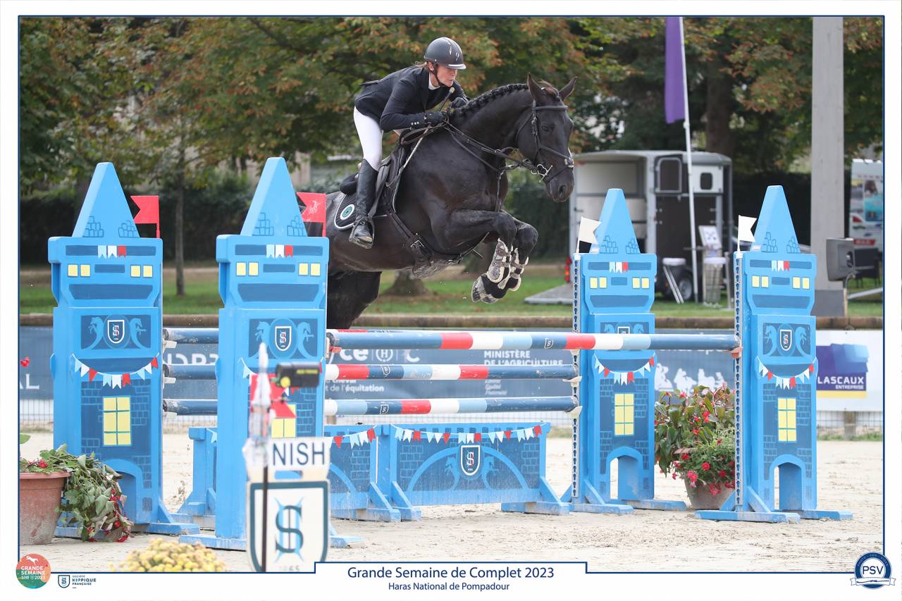 HEROE DE CAFENY - Selle Français 2017 by DIAMANT DE SEMILLY
