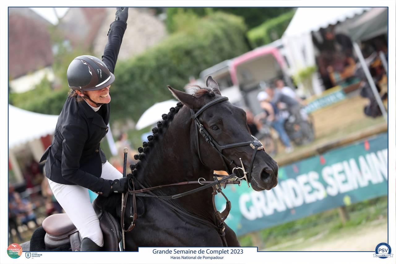 HEROE DE CAFENY - Selle Français 2017 by DIAMANT DE SEMILLY