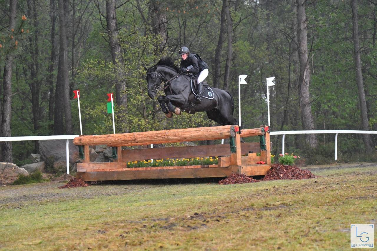 HEROE DE CAFENY - Selle Français 2017 by DIAMANT DE SEMILLY