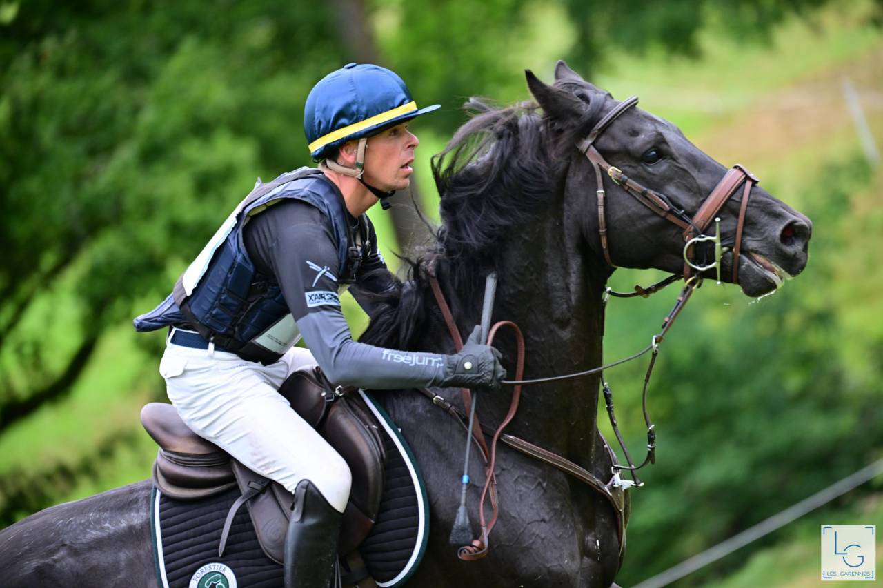 HEROE DE CAFENY - Selle Français 2017 by DIAMANT DE SEMILLY