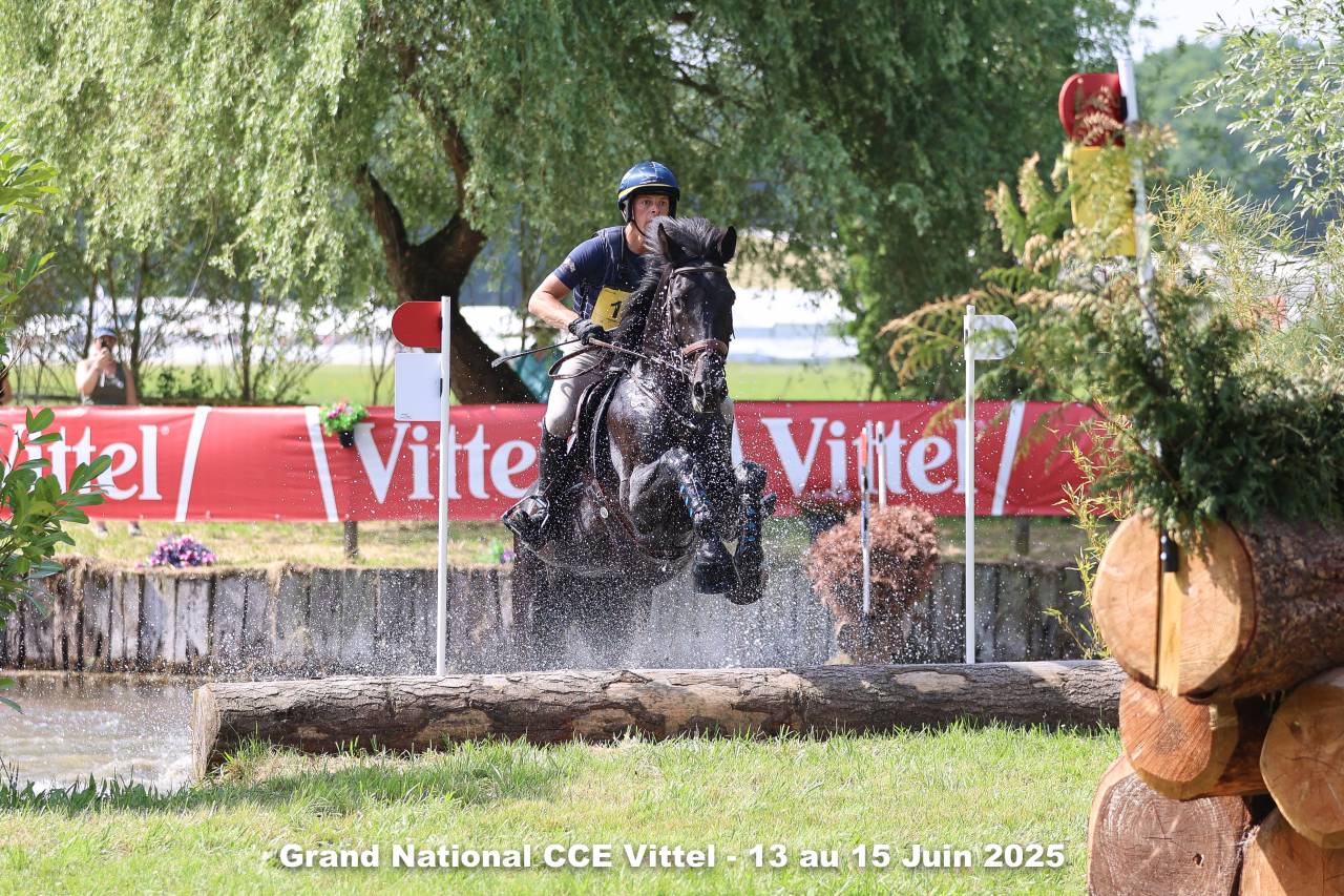 HEROE DE CAFENY - Selle Fran&ccedil;ais 2017 by DIAMANT DE SEMILLY