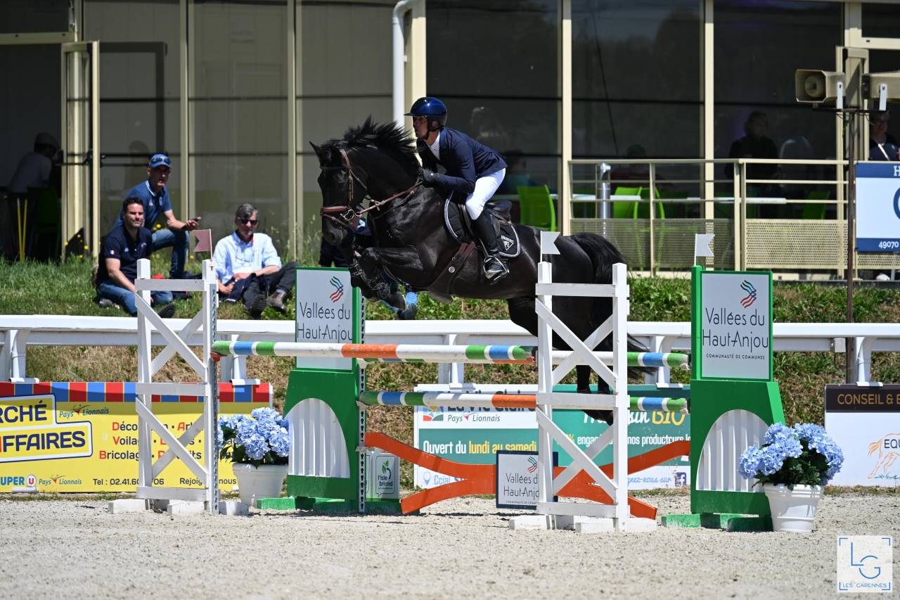 HEROE DE CAFENY - Selle Fran&ccedil;ais 2017 by DIAMANT DE SEMILLY
