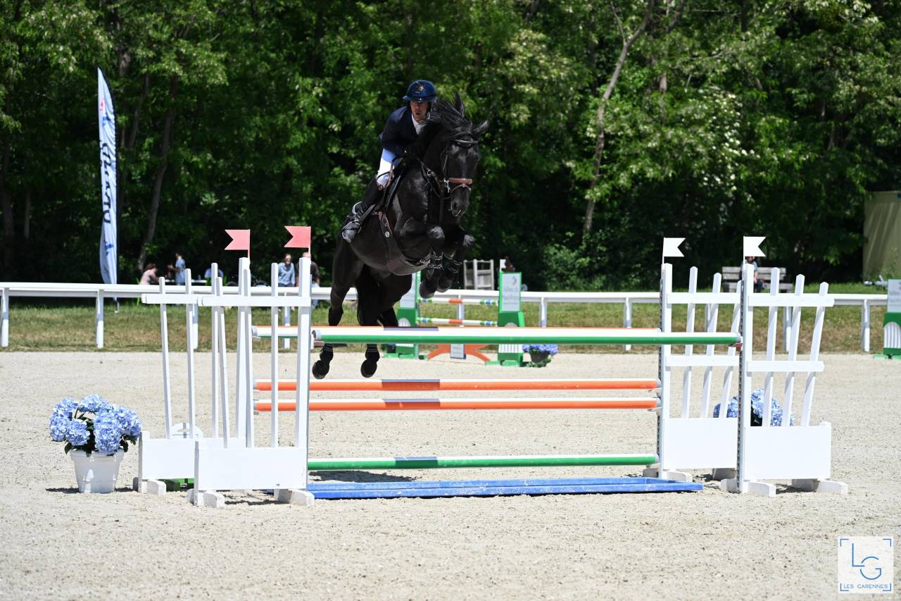 HEROE DE CAFENY - Selle Fran&ccedil;ais 2017 by DIAMANT DE SEMILLY