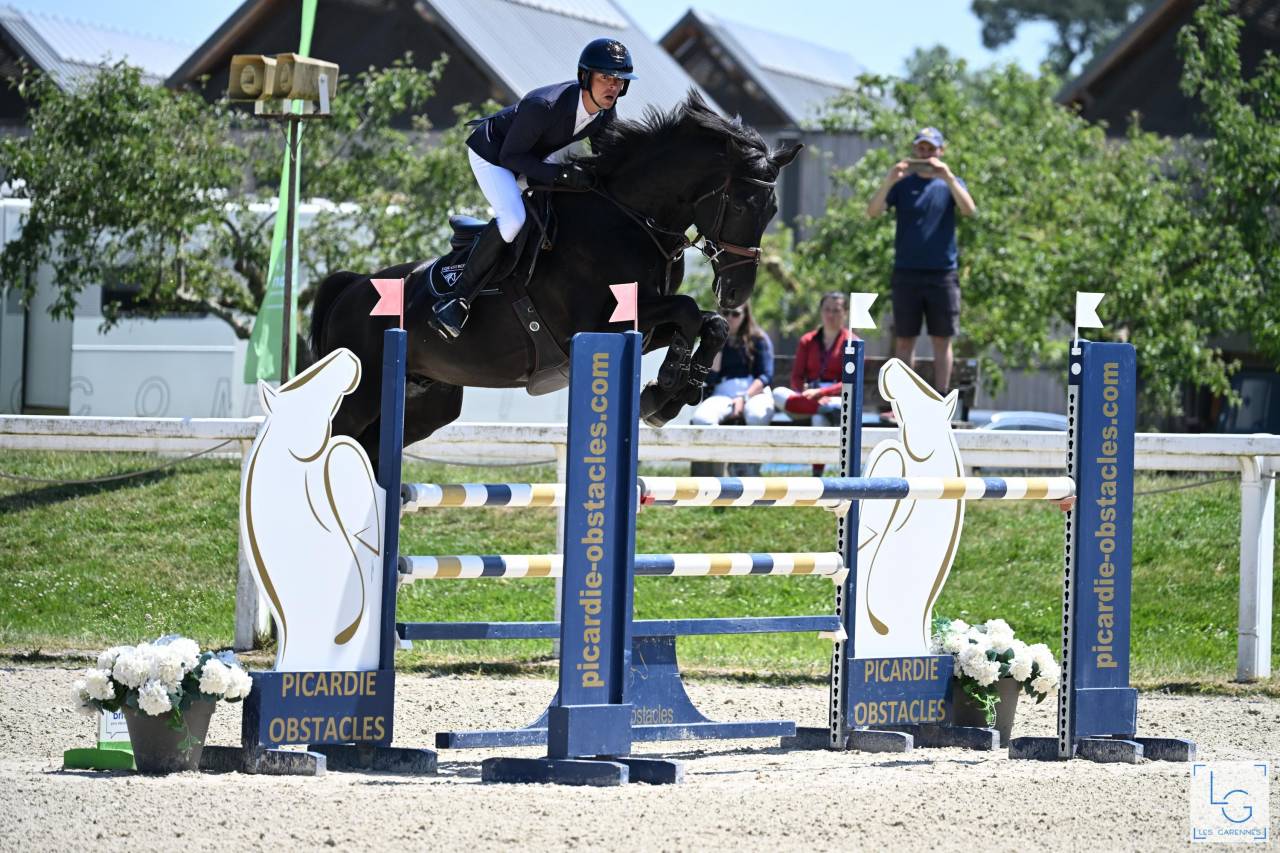 HEROE DE CAFENY - Selle Fran&ccedil;ais 2017 by DIAMANT DE SEMILLY