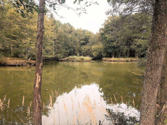 Equestrian property  Paris