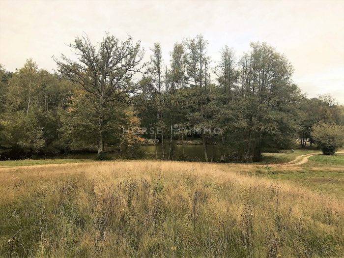 Equestrian property  Paris