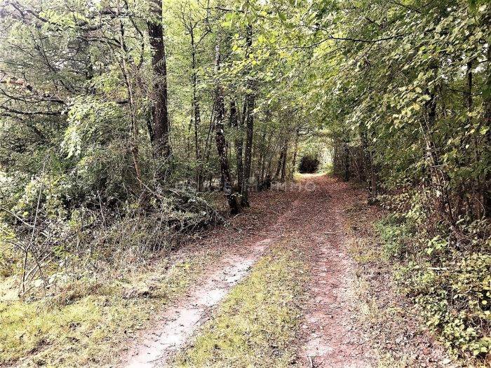 Equestrian property  Paris