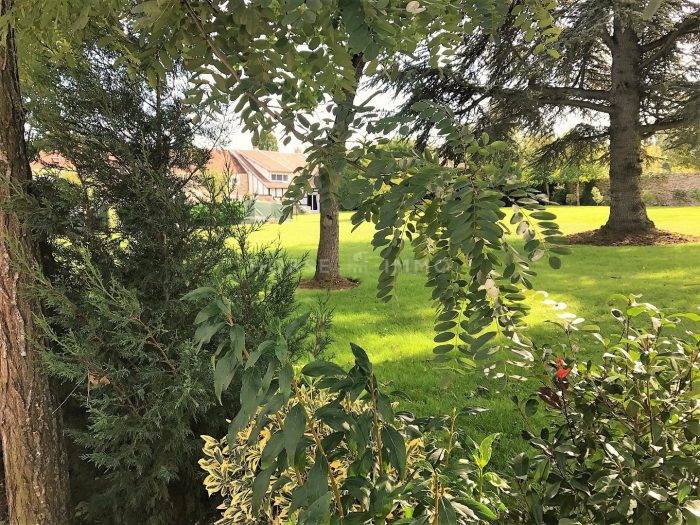 Stud farm  Seine-et-Marne