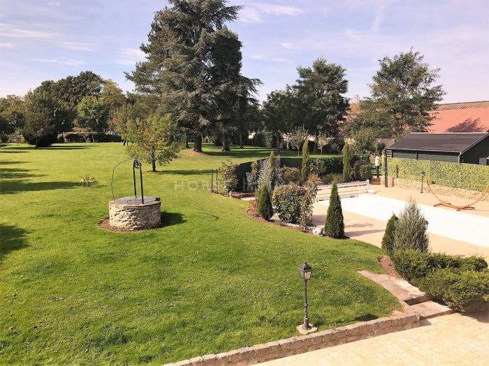 Stud farm  Seine-et-Marne