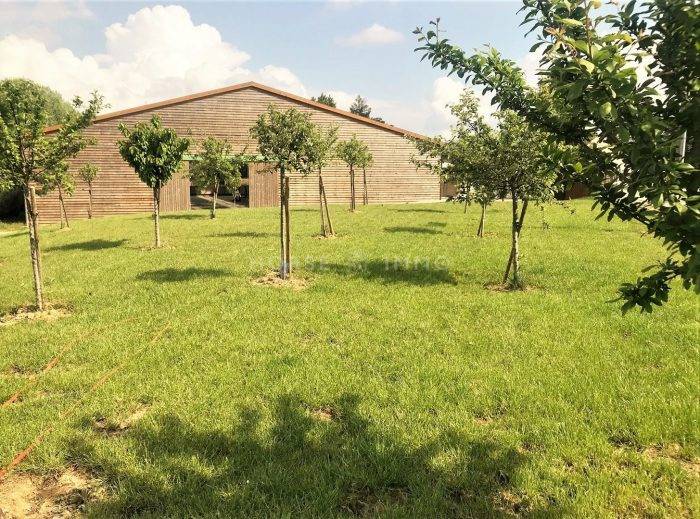 Stud farm  Seine-et-Marne