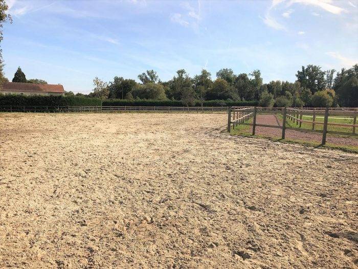 Stud farm  Seine-et-Marne