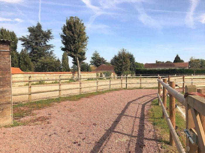 Stud farm  Seine-et-Marne