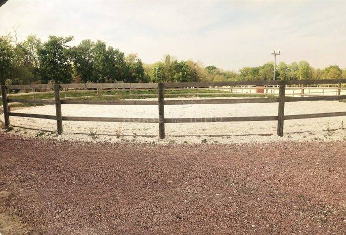 Stud farm  Seine-et-Marne