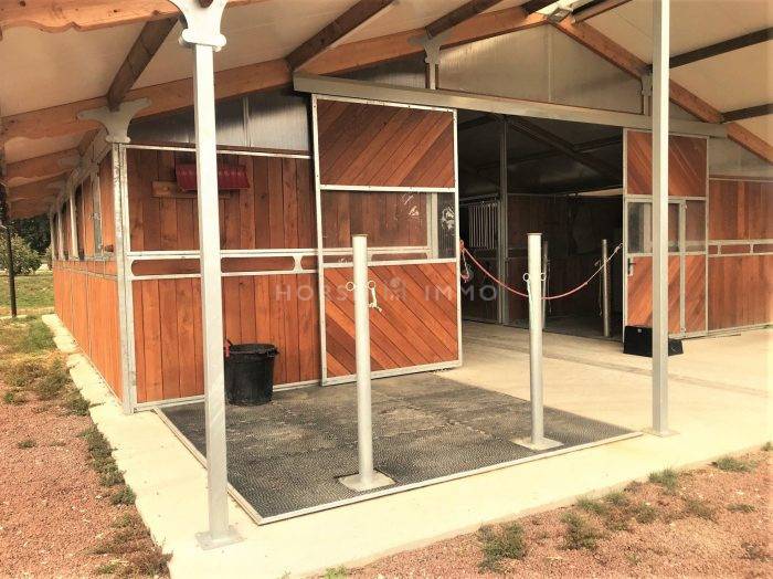 Stud farm  Seine-et-Marne