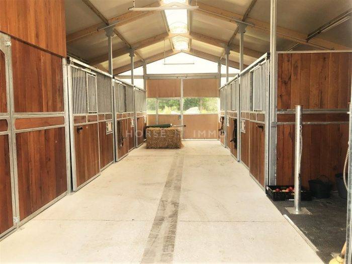 Stud farm  Seine-et-Marne