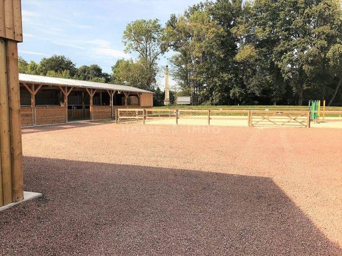 Stud farm  Seine-et-Marne