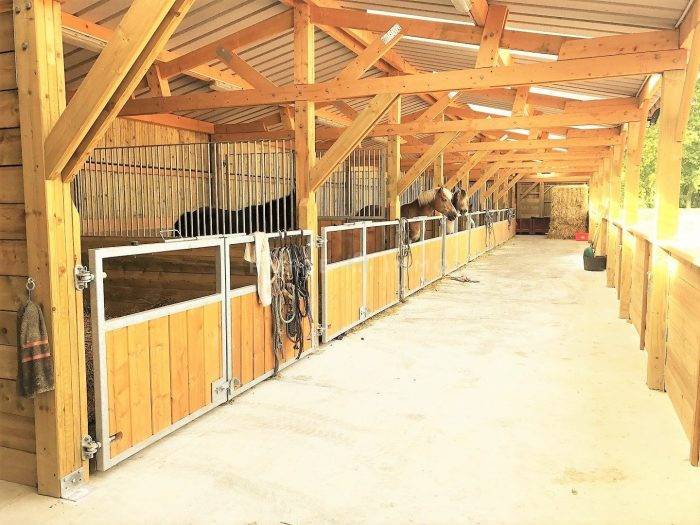 Stud farm  Seine-et-Marne