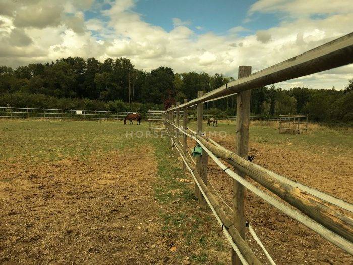 Stud farm  Seine-et-Marne
