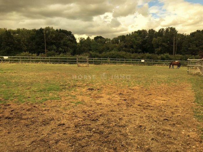 Stud farm  Seine-et-Marne