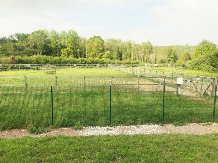 Stud farm  Seine-et-Marne