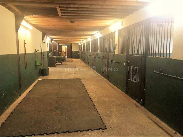Equestrian property  Yvelines