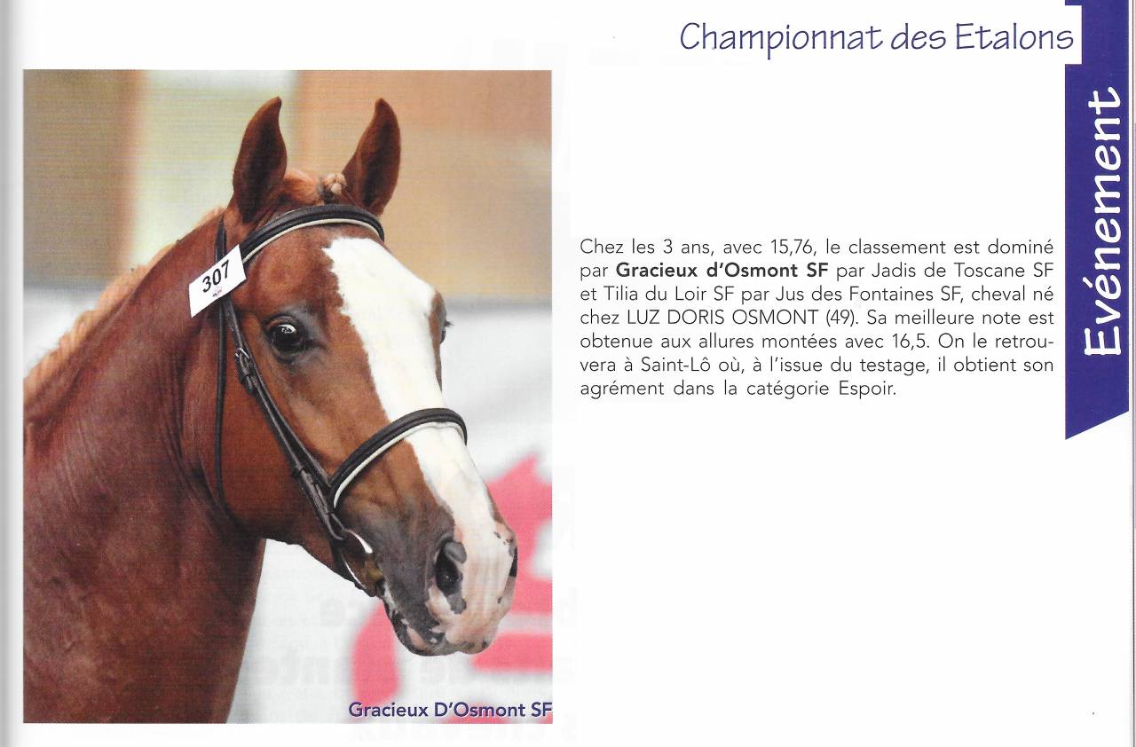 Gracieux d'Osmont - Selle Français 2016 by jadis de toscane  sfa