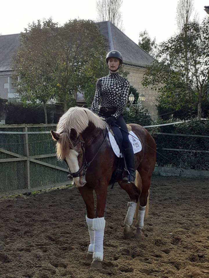 Gracieux d'Osmont - Selle Français 2016 by jadis de toscane  sfa