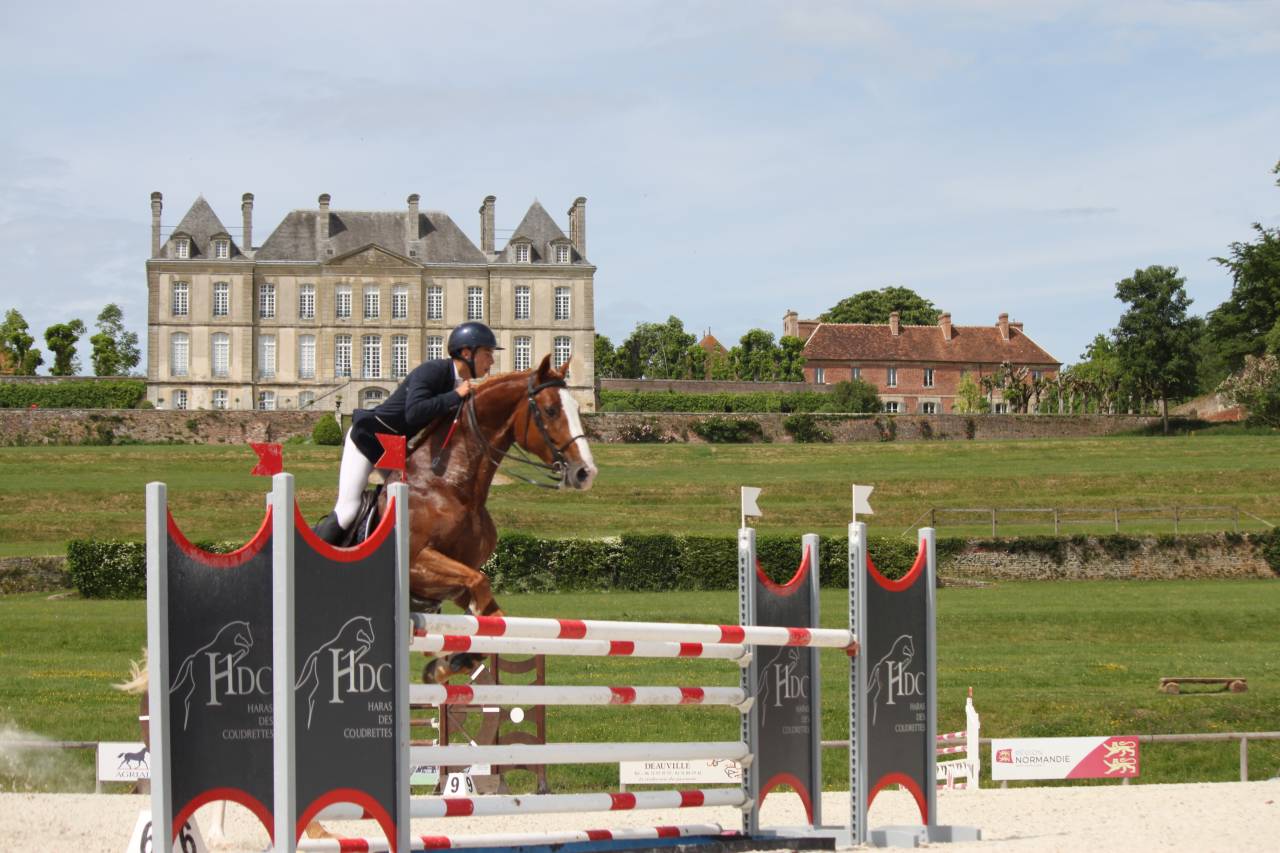 Gracieux d'Osmont - Selle Français 2016 by jadis de toscane  sfa
