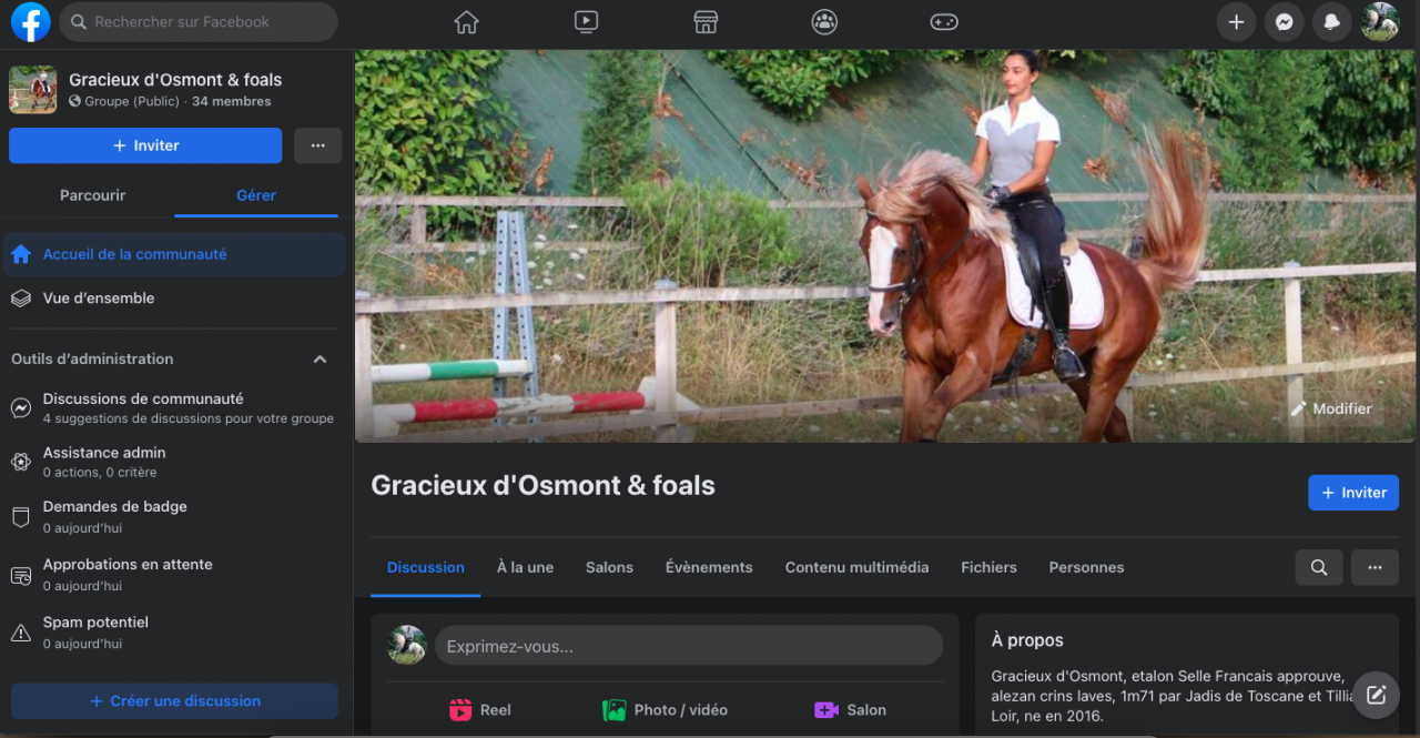 Gracieux d'Osmont - Selle Français 2016 by jadis de toscane  sfa