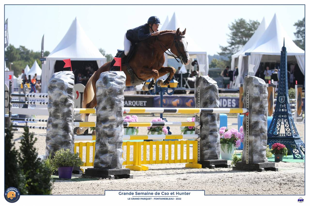 Gracieux d'Osmont - Selle Français 2016 by jadis de toscane  sfa