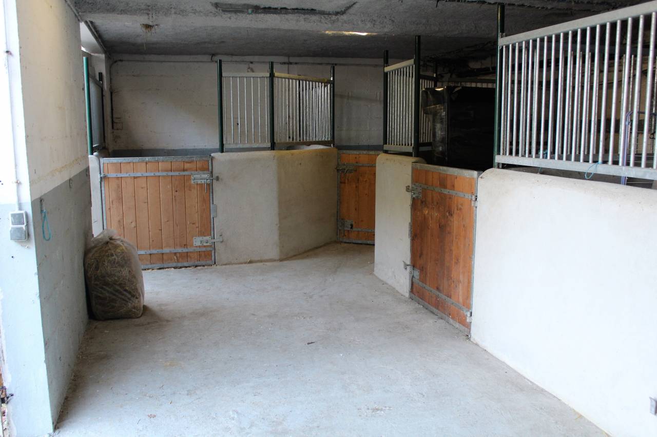 Luxurious equestrian property  Val-d'Oise