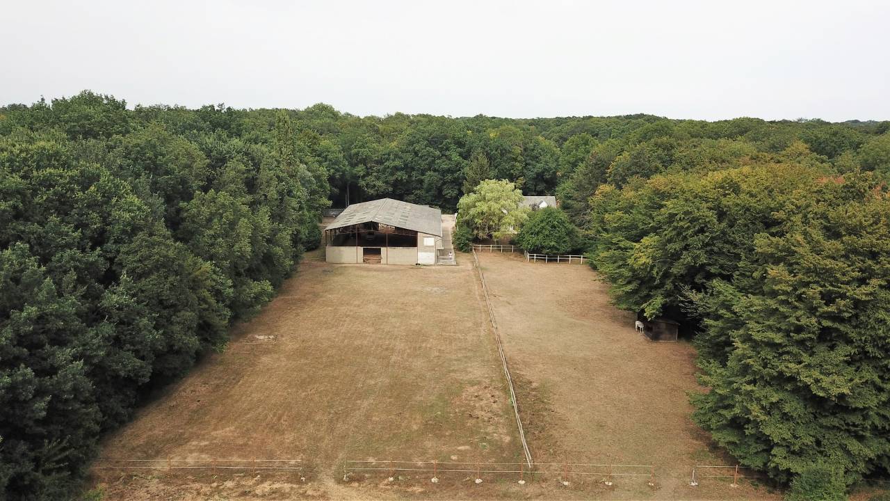 Equestrian property  Yvelines