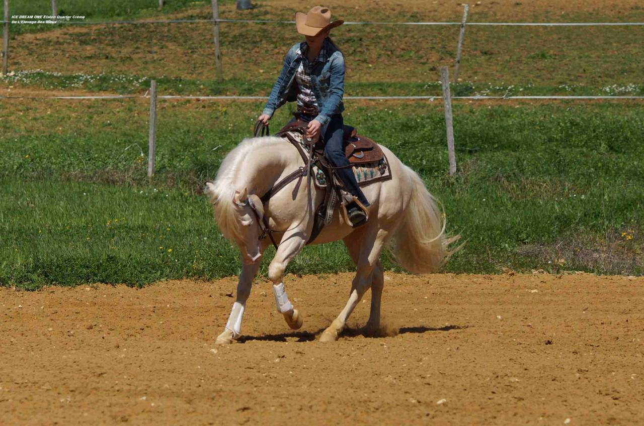 ICE DREAM ONE  - Quarter 2011 by MR TUFFEASY SMOKE