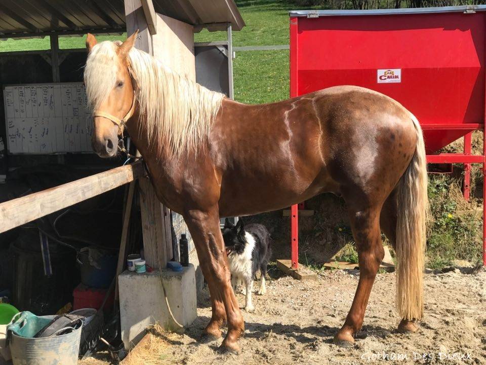 ICE DREAM ONE  - Quarter 2011 by MR TUFFEASY SMOKE