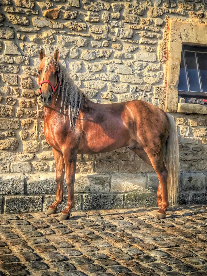 ICE DREAM ONE  - Quarter 2011 by MR TUFFEASY SMOKE