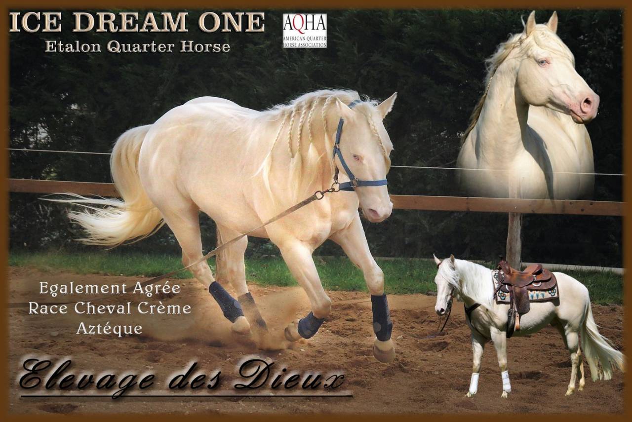 ICE DREAM ONE  - Quarter 2011 by MR TUFFEASY SMOKE