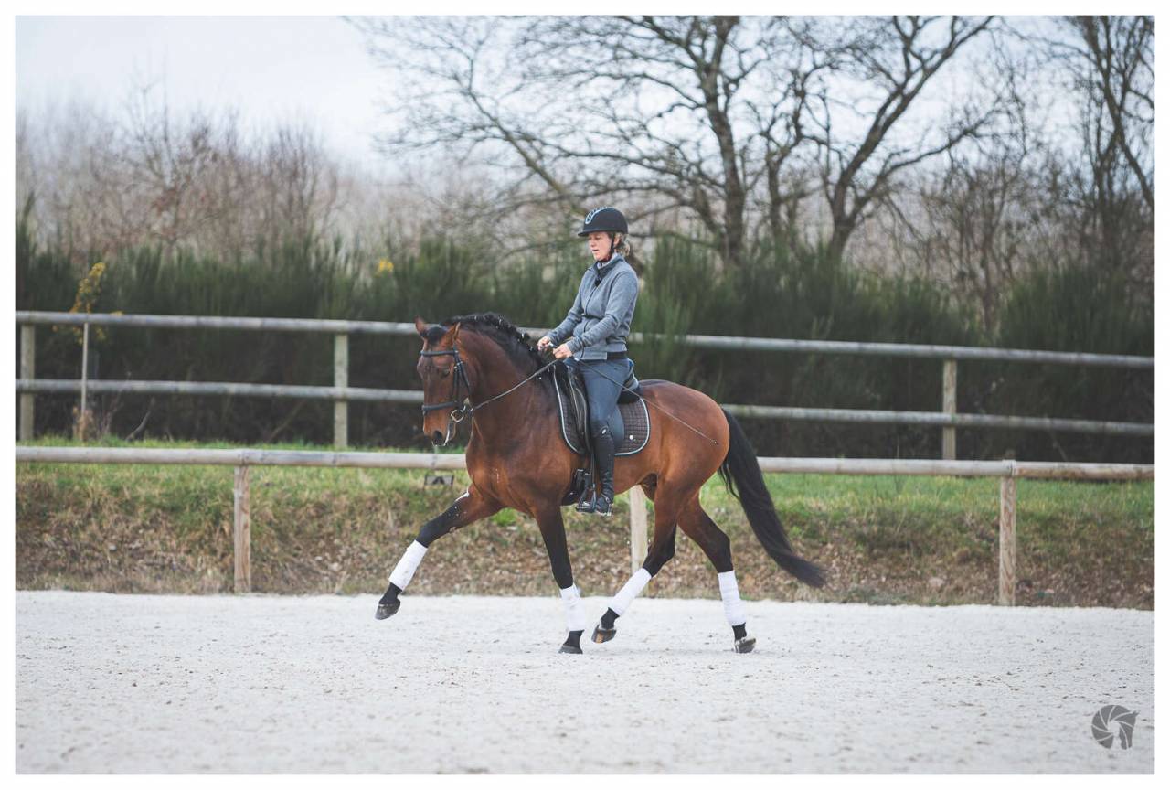 CORACAO LA GOUDELIE - Lusitano 2012 by SCAPIN RBO