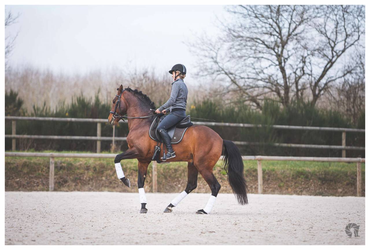 CORACAO LA GOUDELIE - Lusitano 2012 by SCAPIN RBO
