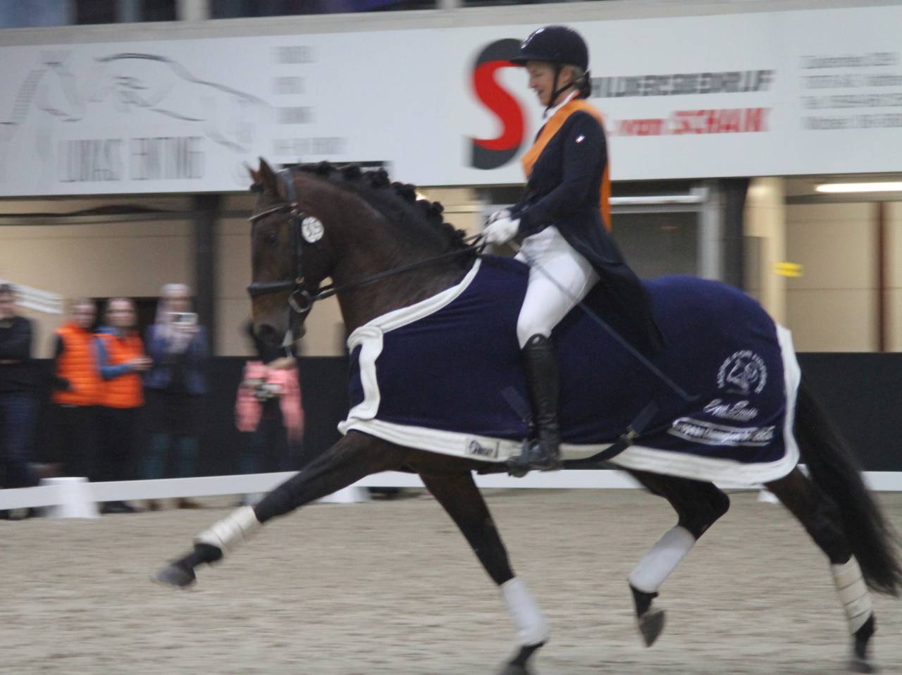 CORACAO LA GOUDELIE - Lusitano 2012 by SCAPIN RBO