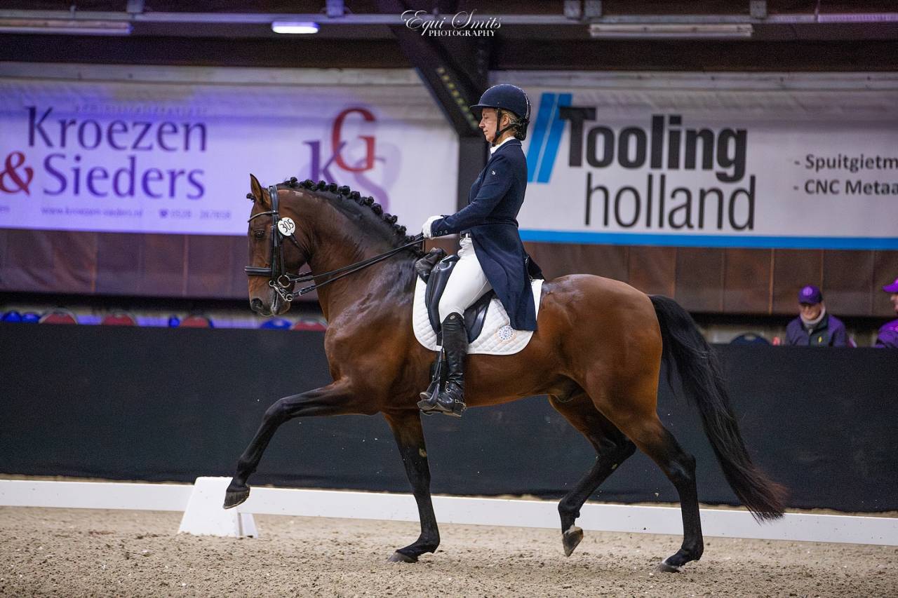 CORACAO LA GOUDELIE - Lusitano 2012 by SCAPIN RBO