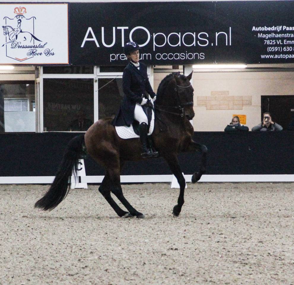 CORACAO LA GOUDELIE - Lusitano 2012 by SCAPIN RBO