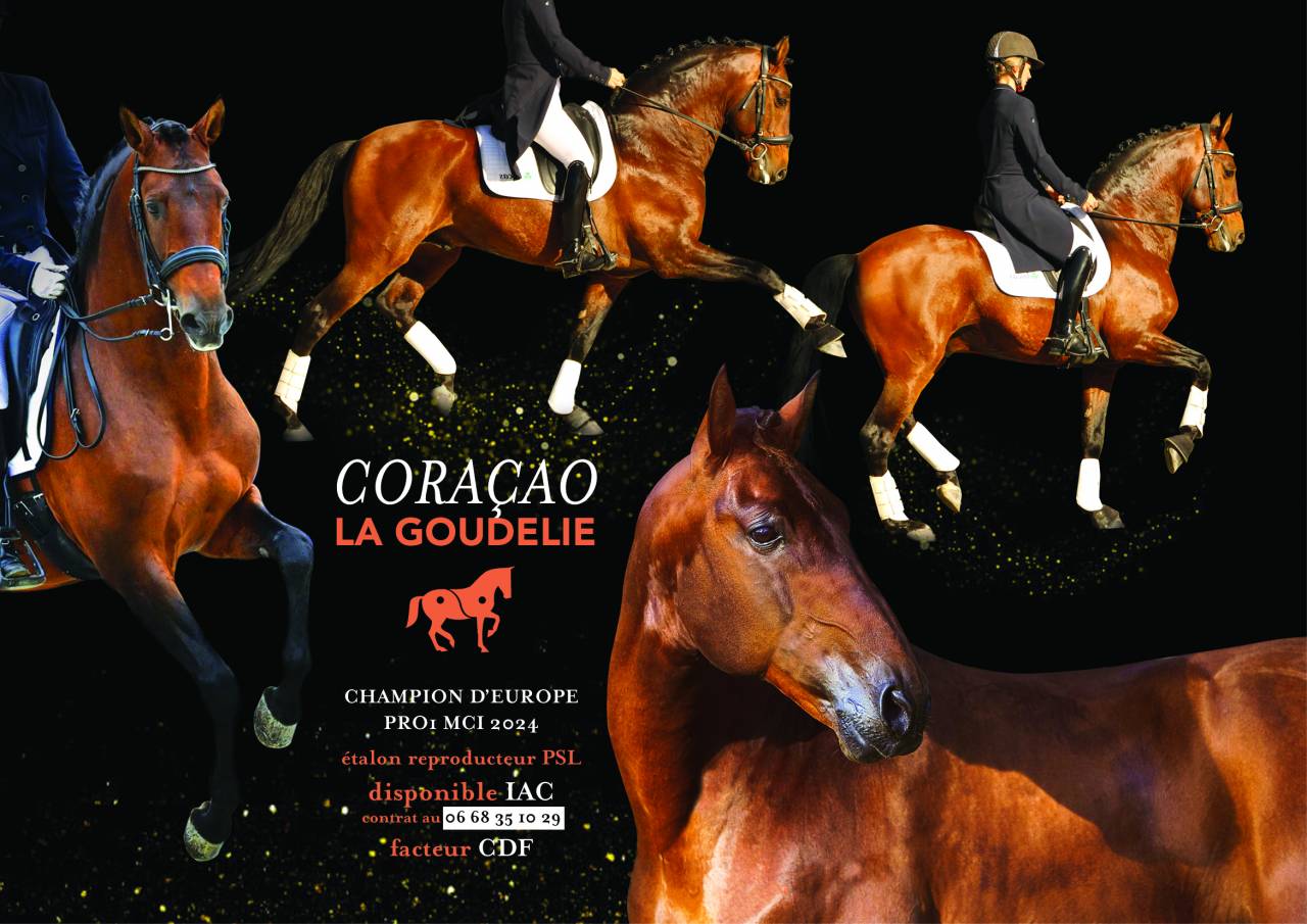 CORACAO LA GOUDELIE - Lusitano 2012 by SCAPIN RBO