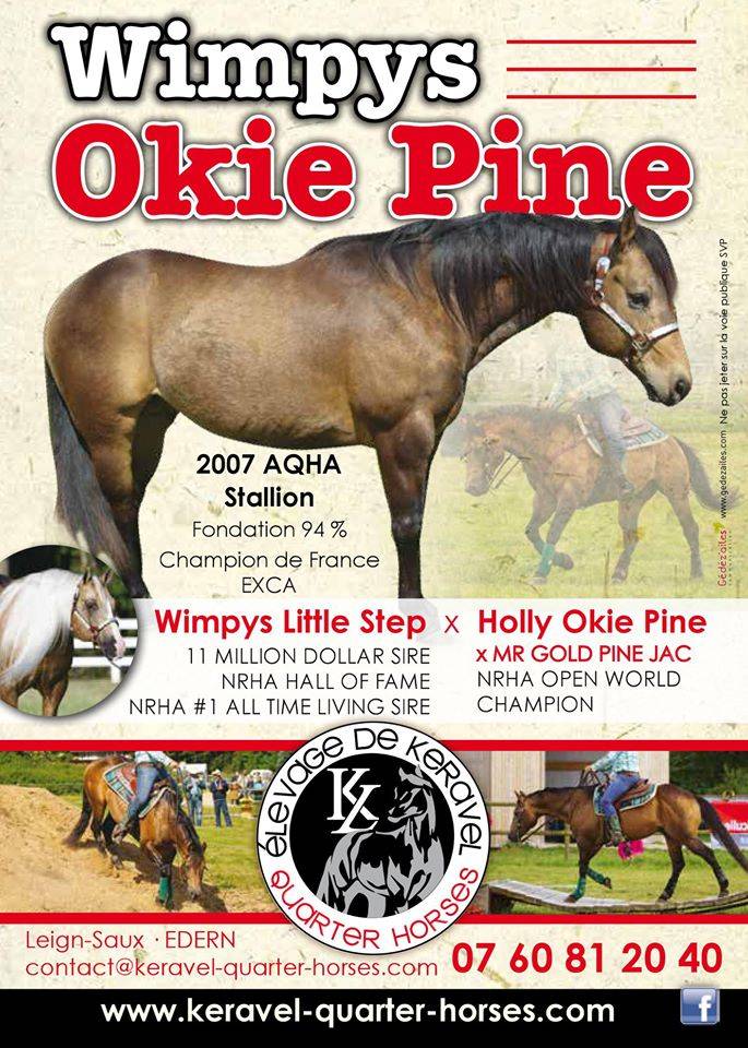 WIMPYS OKIE PINE - Quarter 2007 by Wimpys little Step