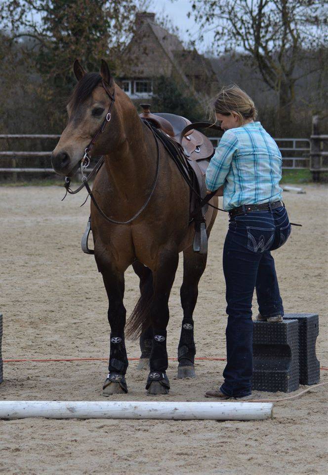 WIMPYS OKIE PINE - Quarter 2007 by Wimpys little Step